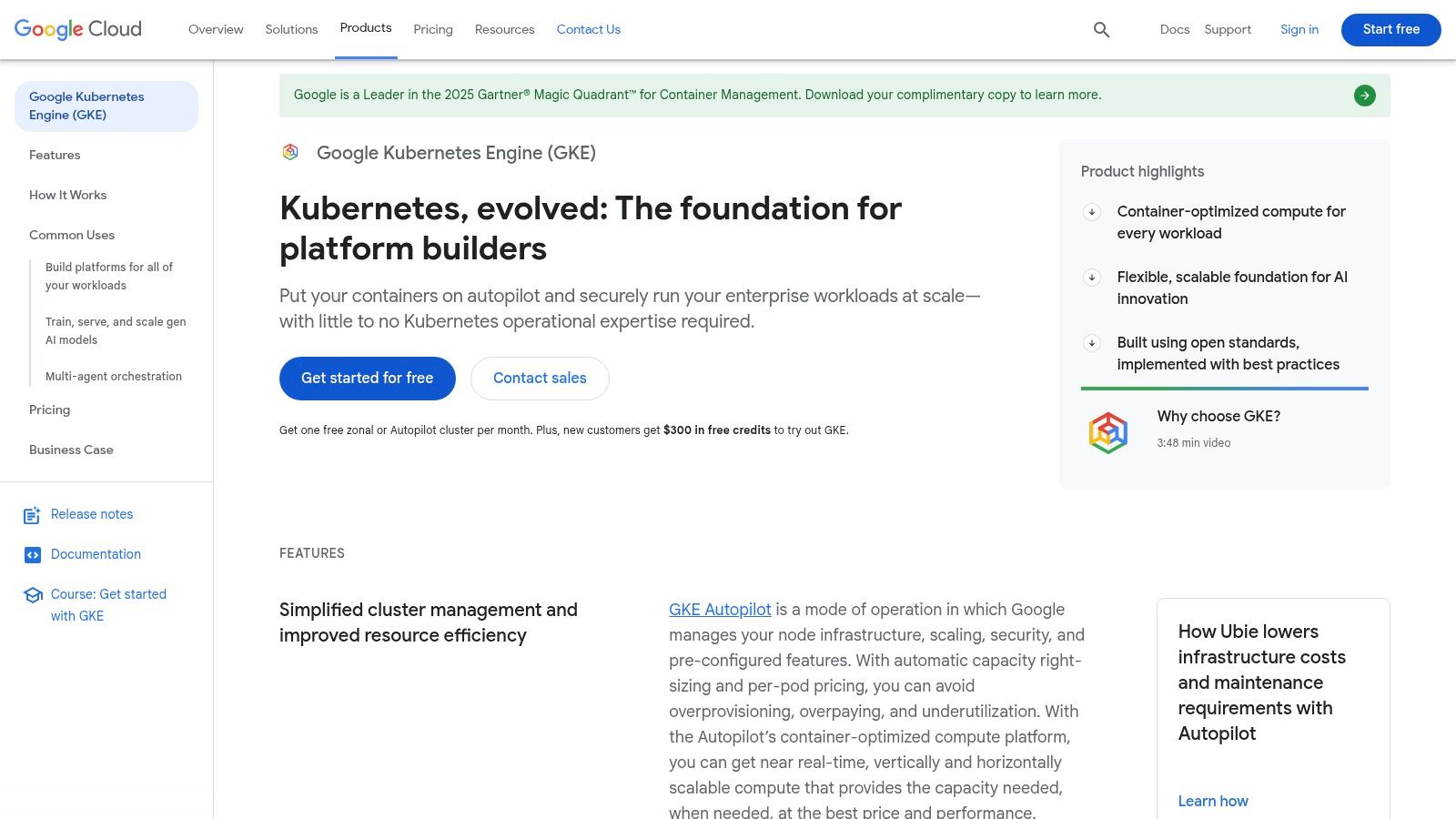 Google Kubernetes Engine (GKE)