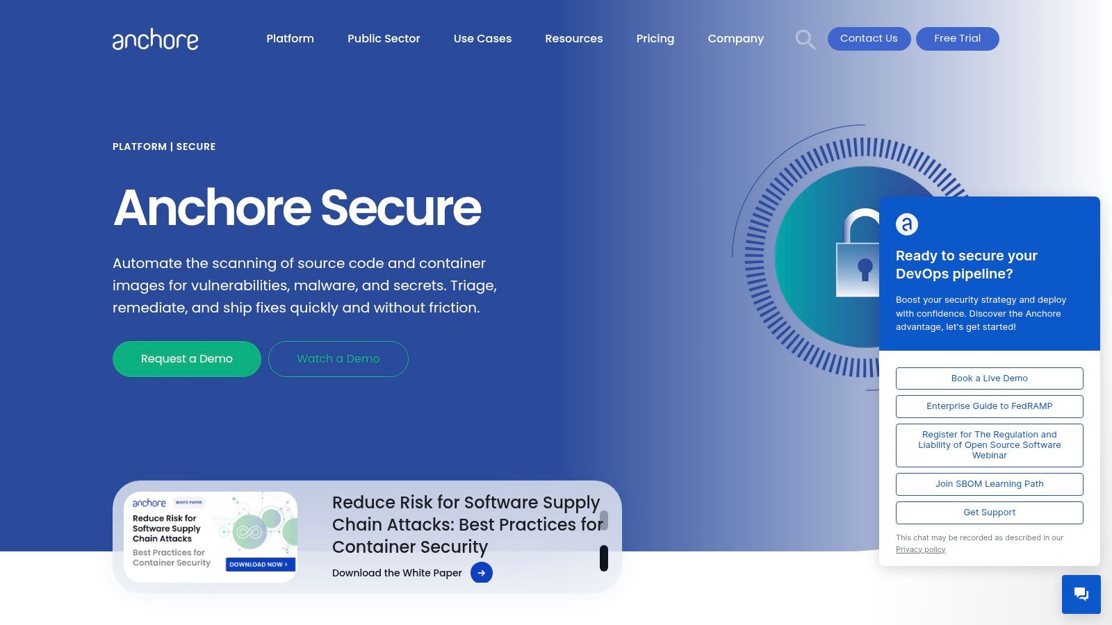 Anchore (Enterprise) + Anchore Open Source (Syft/Grype)