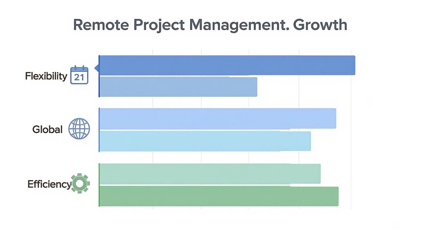 Infographic about remote project management jobs