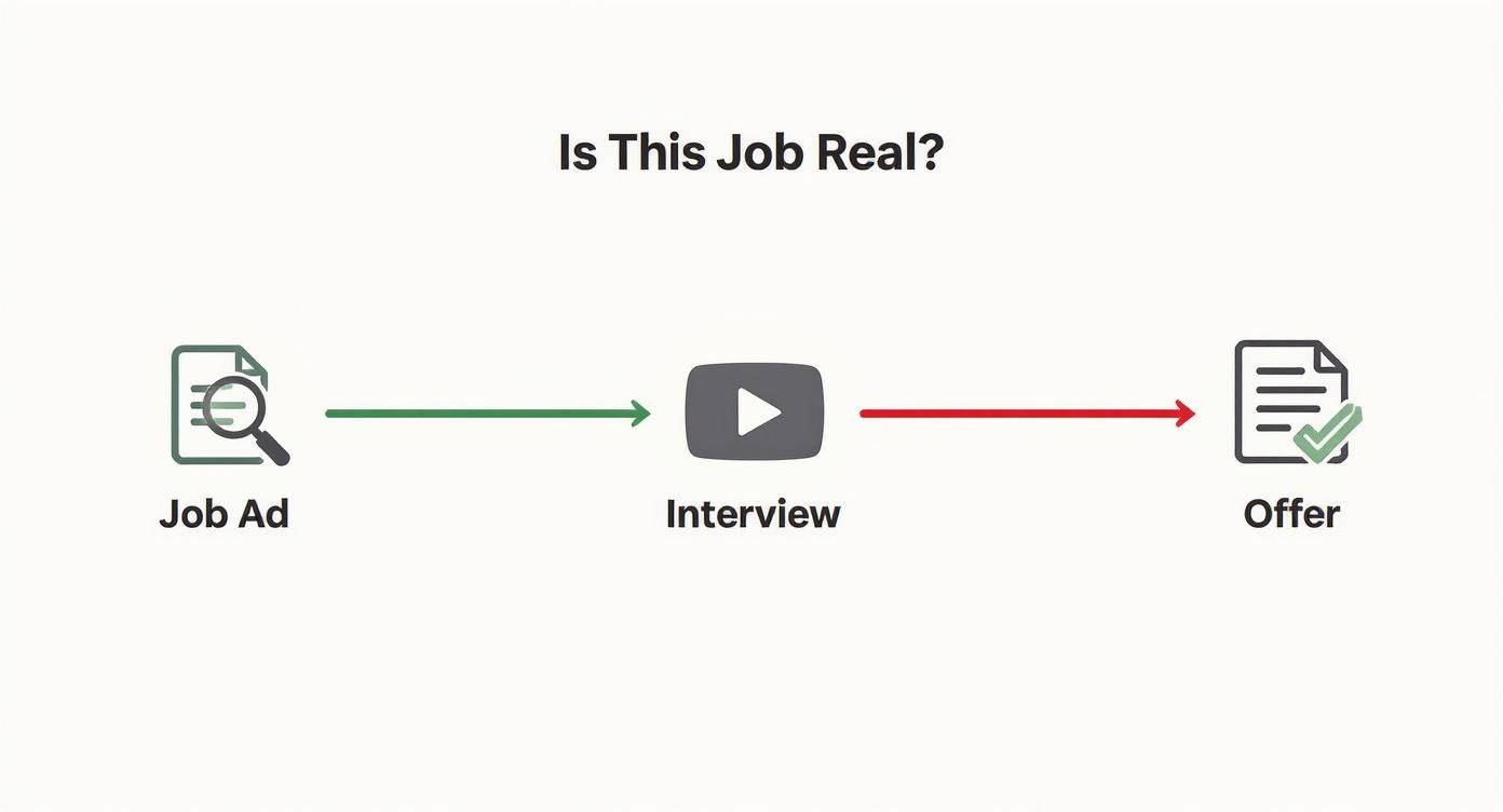 Infographic about work at home no scams