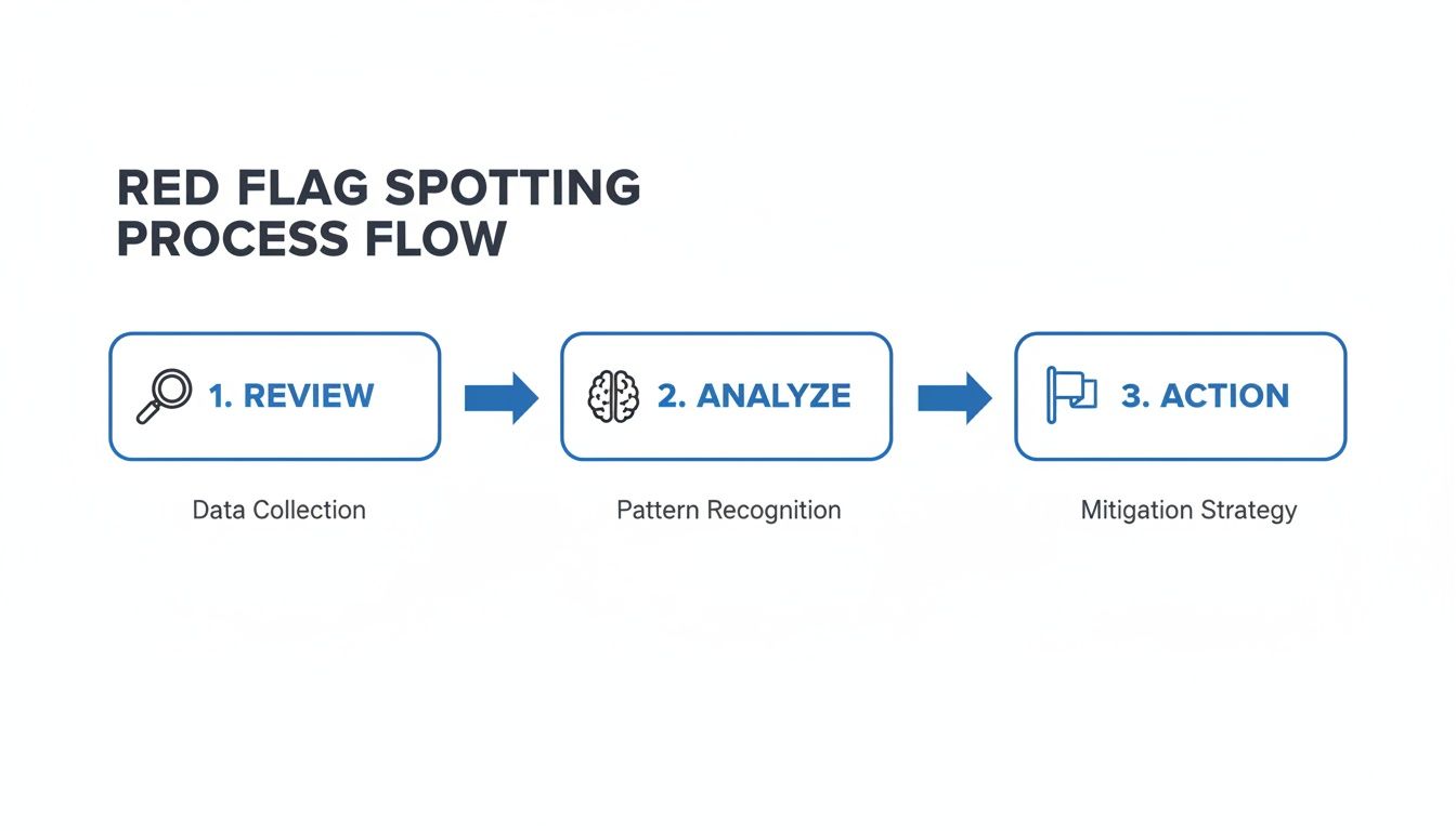 Process flow for red flag spotting: Review (data collection), Analyze (pattern recognition), Action (mitigation strategy).