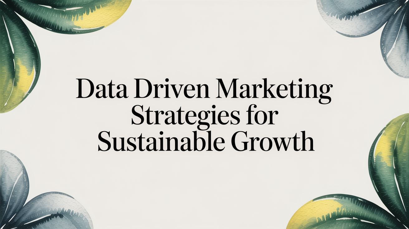 Data-Driven Marketing Strategies