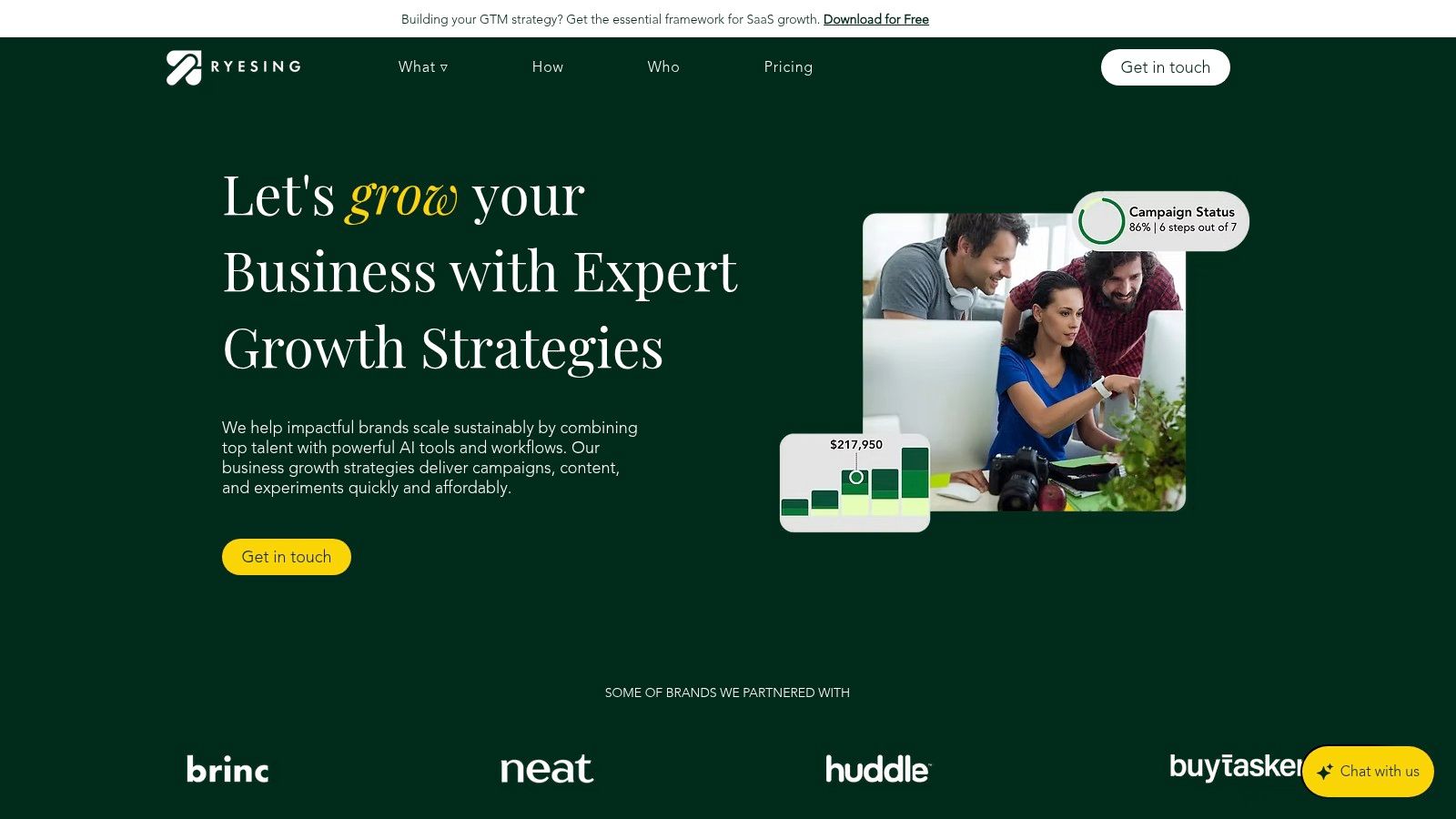 Ryesing Limited's website showcasing their growth strategies for performance marketing.