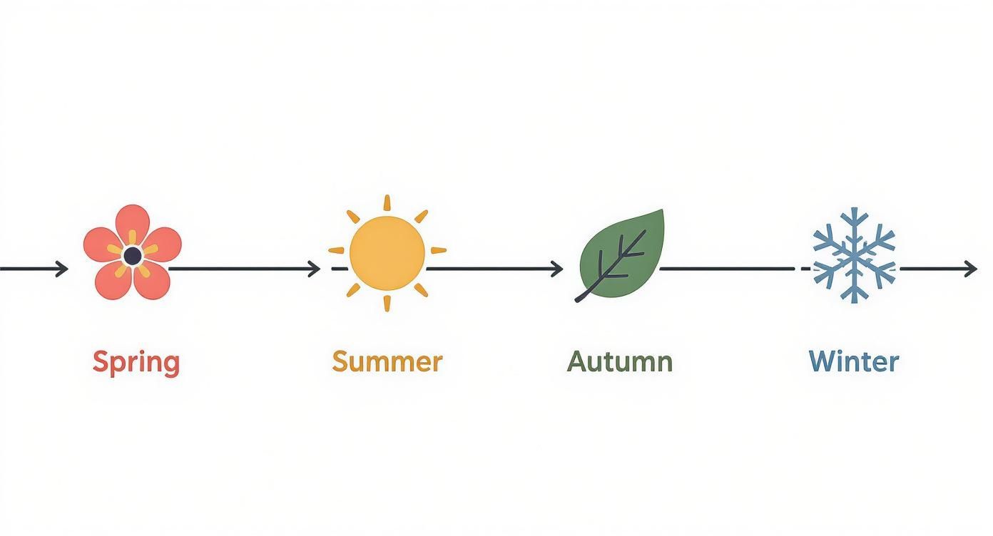 Infographic about best time to visit morocco