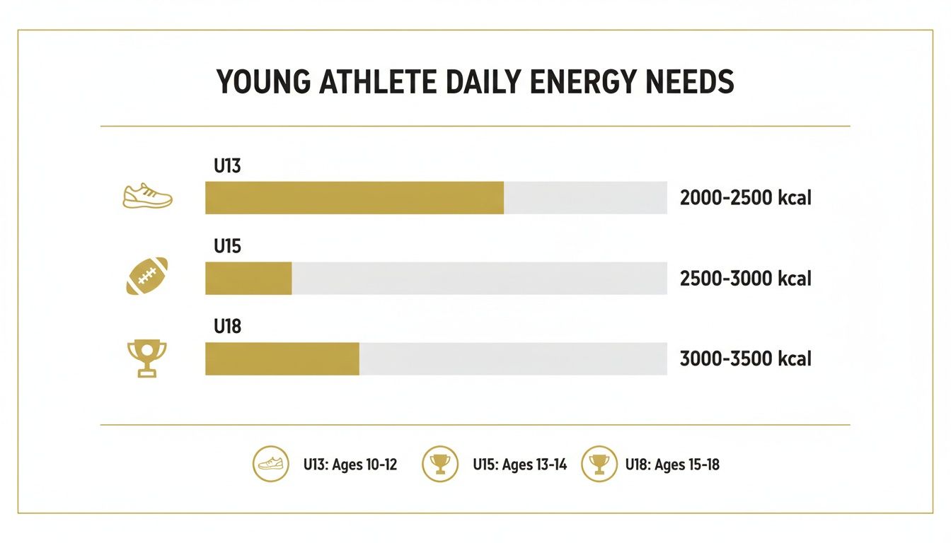 Bar chart illustrating young athletes' daily energy needs by age group and recommended kcal.