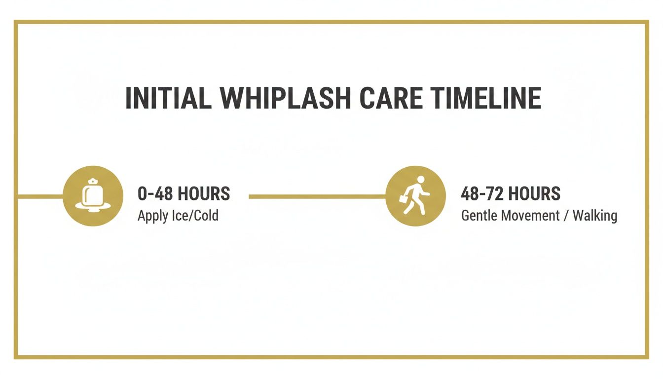 A whiplash care timeline showing ice application for 0-48 hours and gentle movement for 48-72 hours.