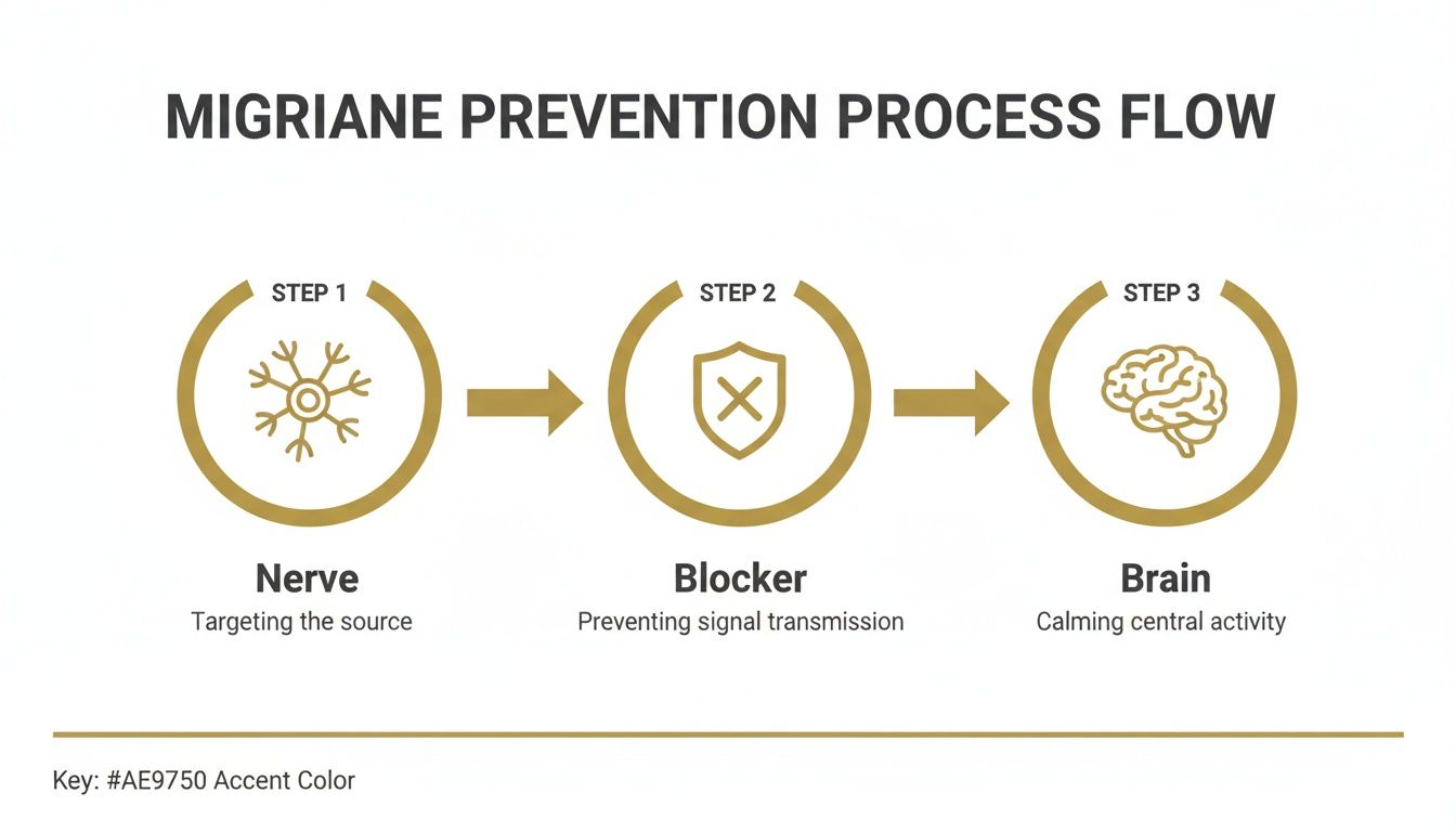 A flow chart illustrating a three-step migraine prevention process targeting nerve, blocker, and brain.