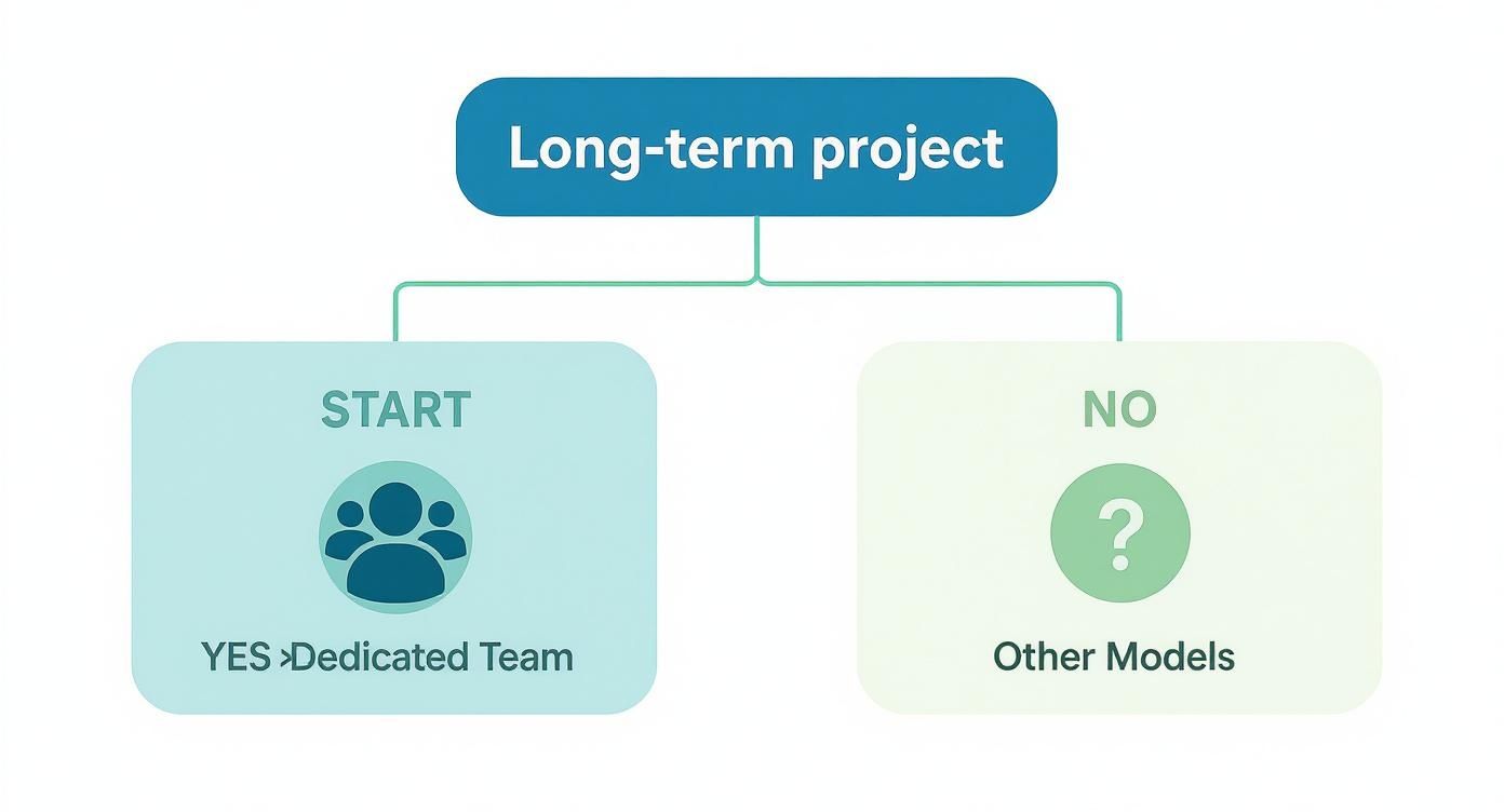 Infographic about dedicated development team model