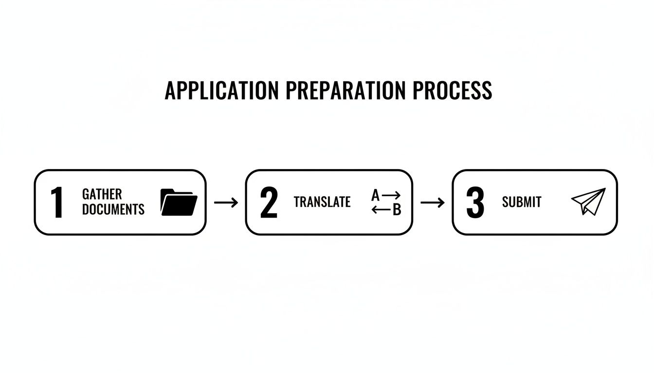 A clear infographic outlines the three-step application process: gather, translate, and submit documents.