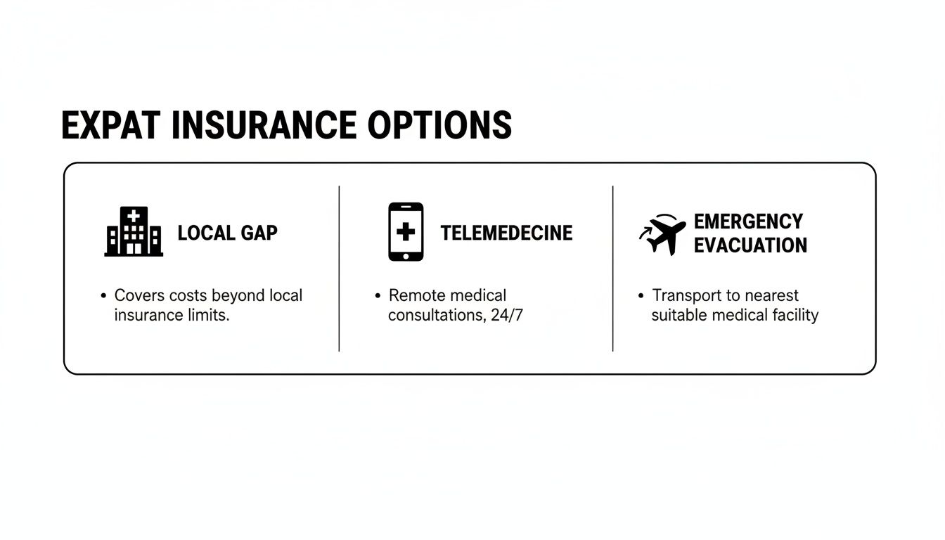 Infographic about international health insurance comparison