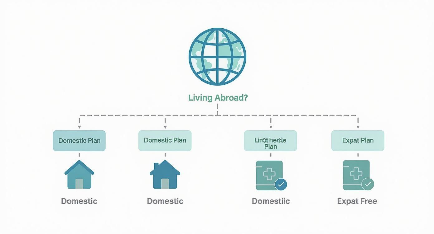 A flowchart showing insurance options for individuals living abroad, detailing domestic and expat plans.