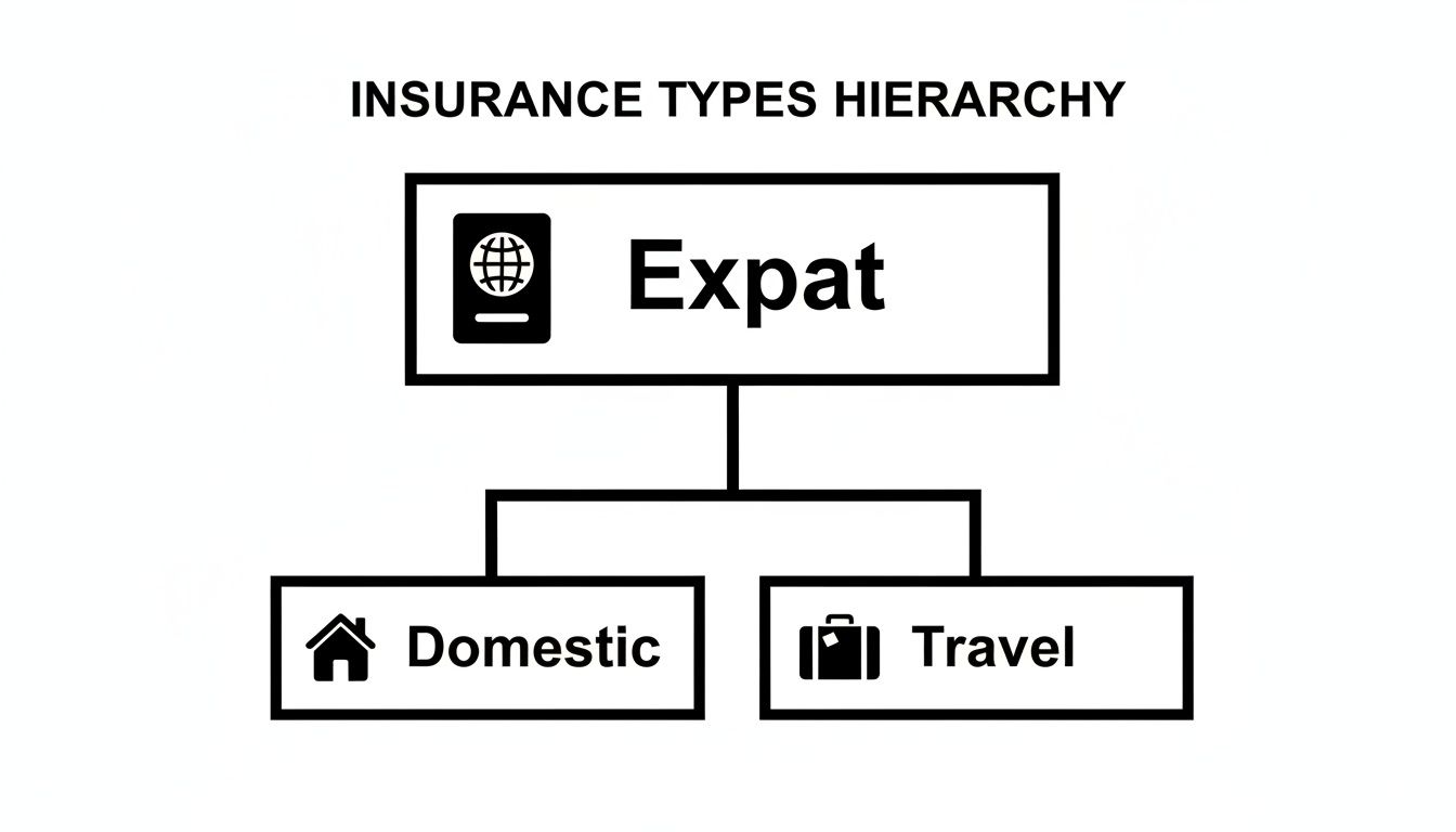 A diagram illustrating the hierarchy of insurance types: Expat, Domestic, and Travel insurance.