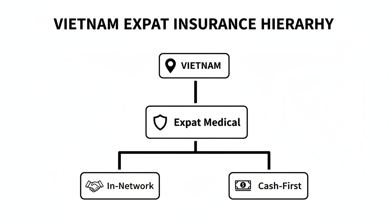 A hierarchy diagram illustrating Vietnam expat medical insurance options: In-Network and Cash-First.