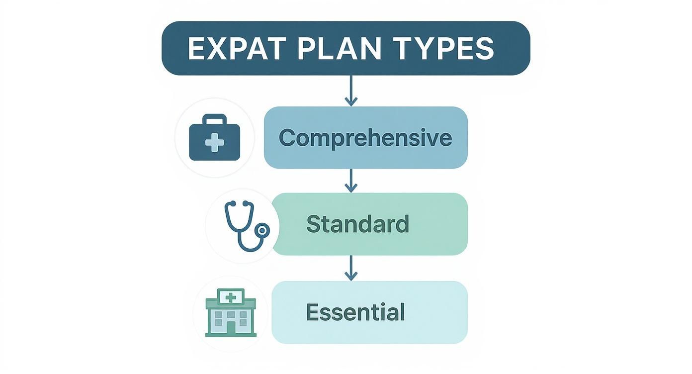 Flowchart illustrating three expat health plan types: Comprehensive, Standard, and Essential, with icons.