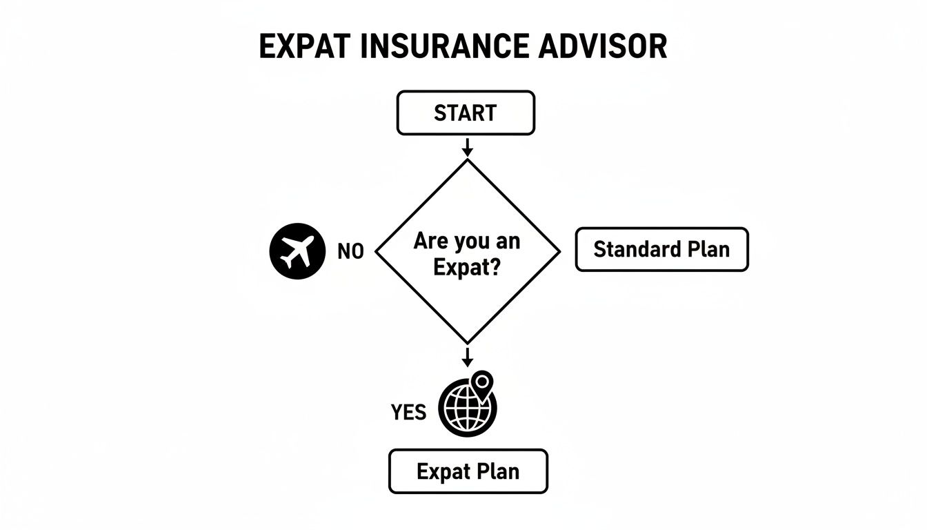 Flowchart titled 'Expat Insurance Advisor', guiding users to a standard plan or an expat plan based on whether they are an expat.