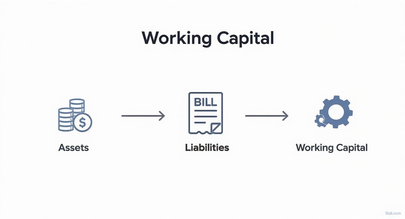 Infographic about what is working capital management