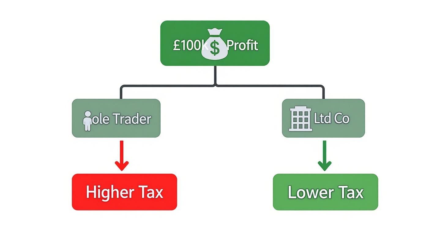 An infographic decision tree showing that a £100k profit for a limited company results in lower tax than for a sole trader.