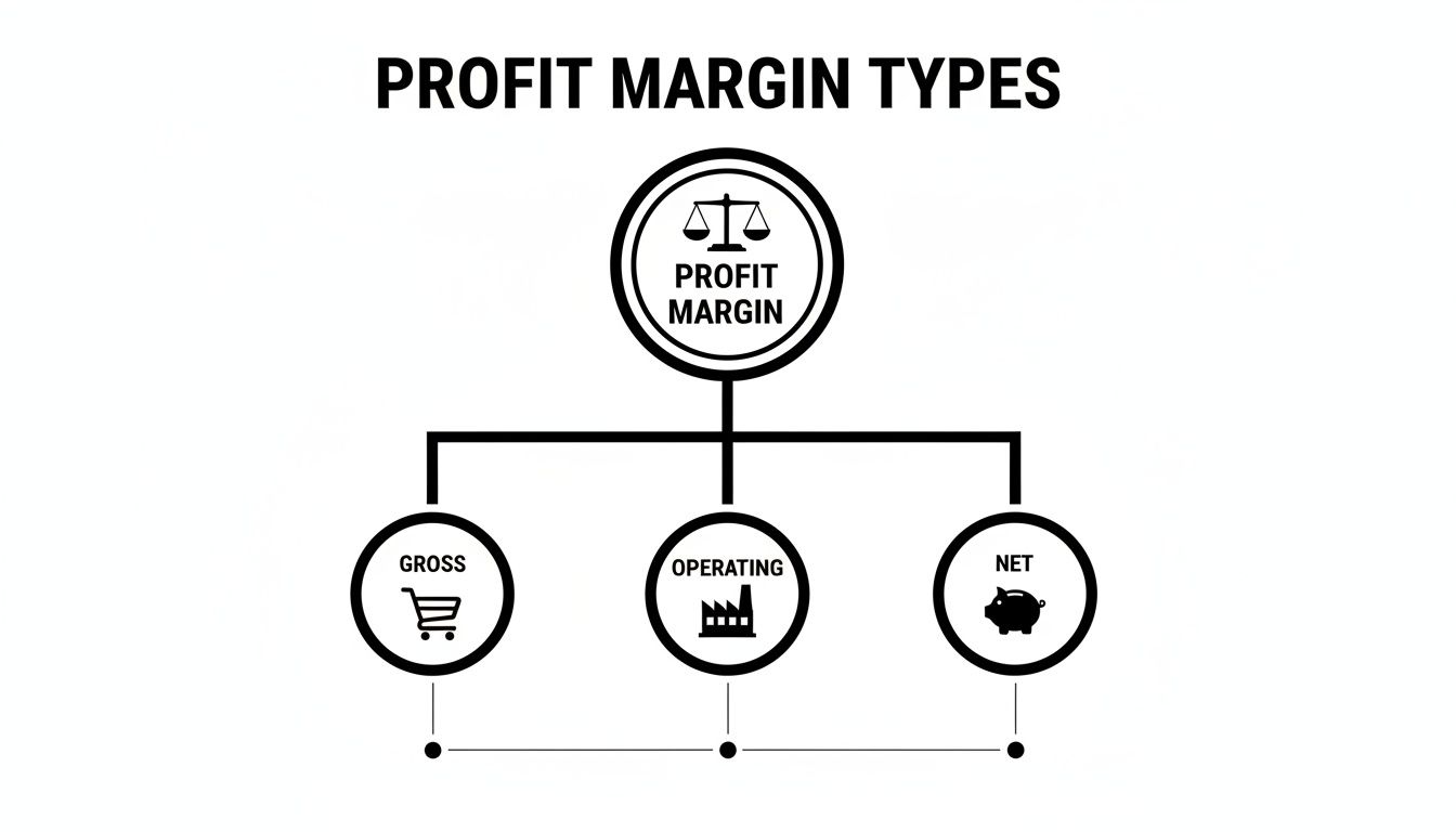 A black and white diagram illustrating the three main types of profit margins: Gross, Operating, and Net.