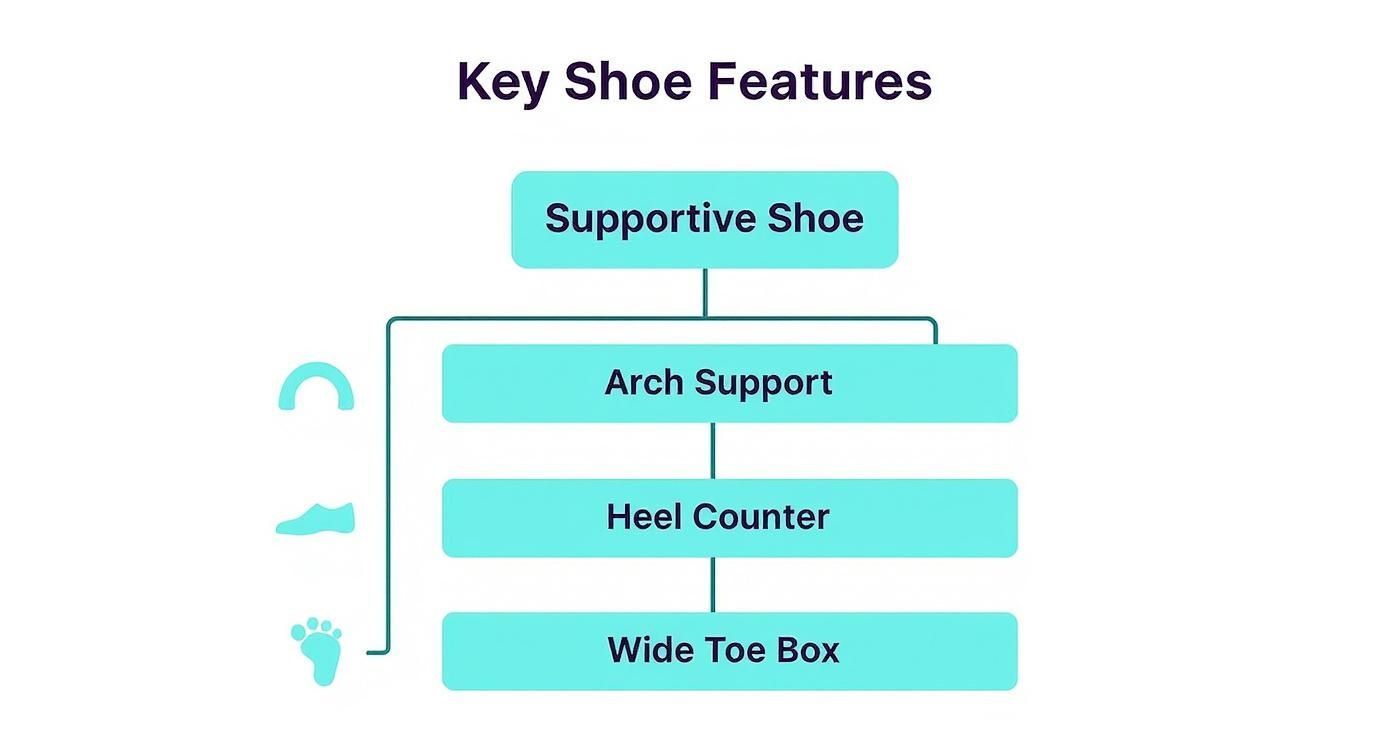 A diagram outlining key supportive shoe features: arch support, heel counter, and wide toe box.