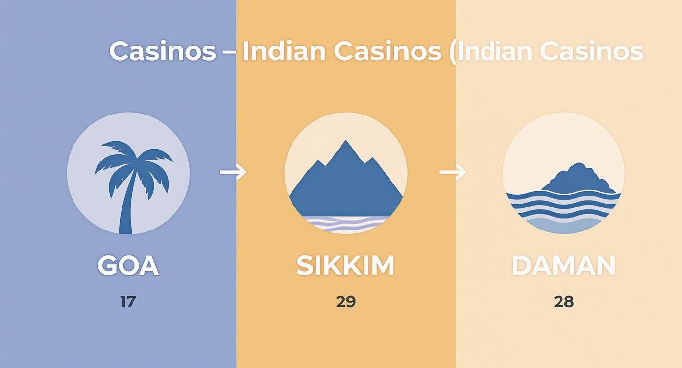 Infographic about how many casino in india