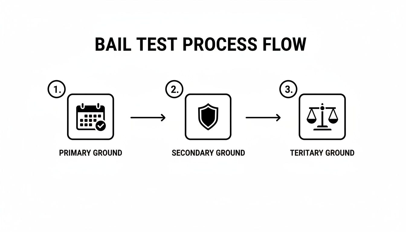Flowchart illustrating the bail test process with primary, secondary, and tertiary grounds shown with icons.