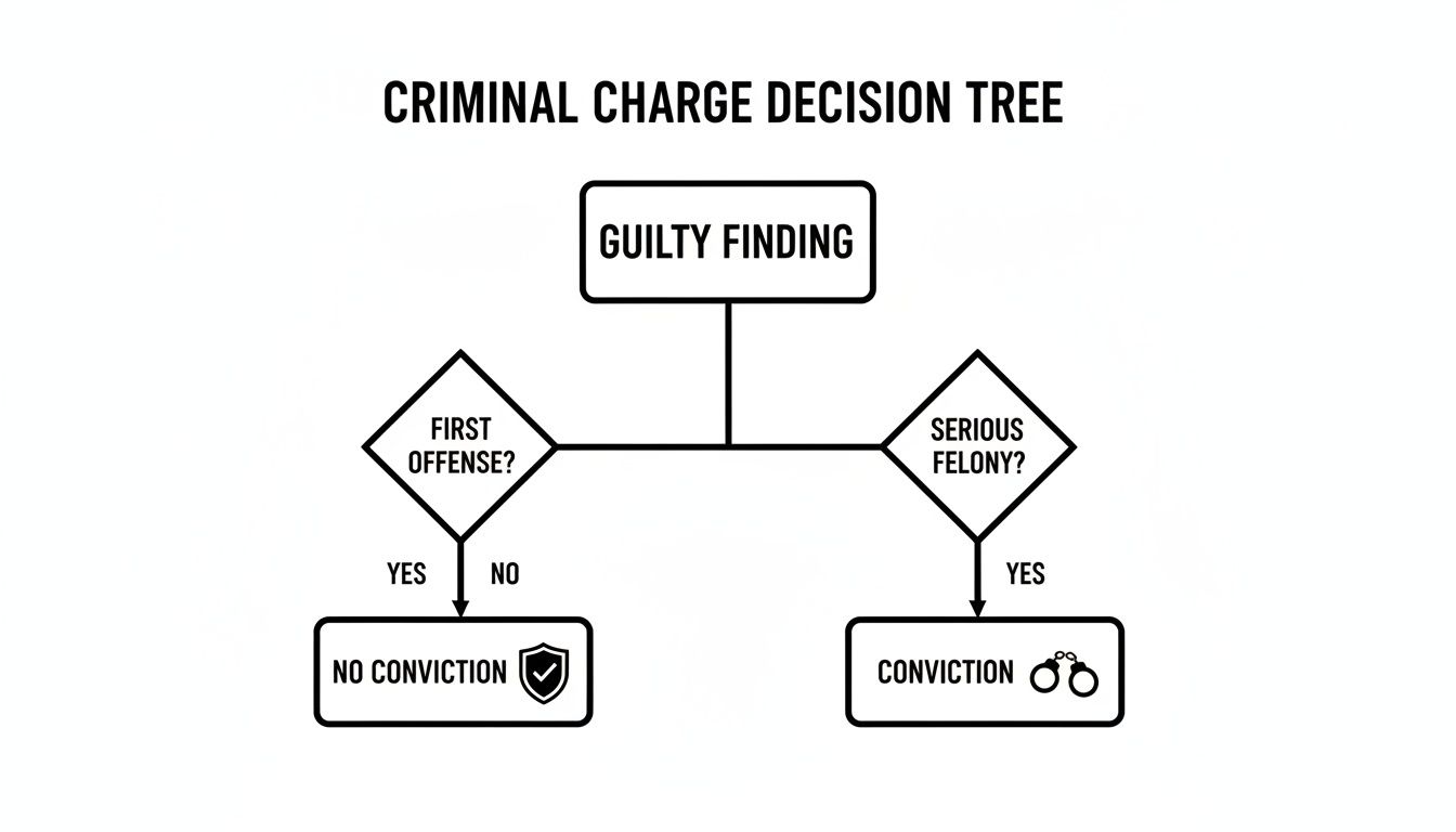 A decision tree illustrating criminal charge outcomes. From 'Guilty Finding', 'First Offense?' leads to 'No Conviction', and 'Serious Felony?' leads to 'Conviction'.