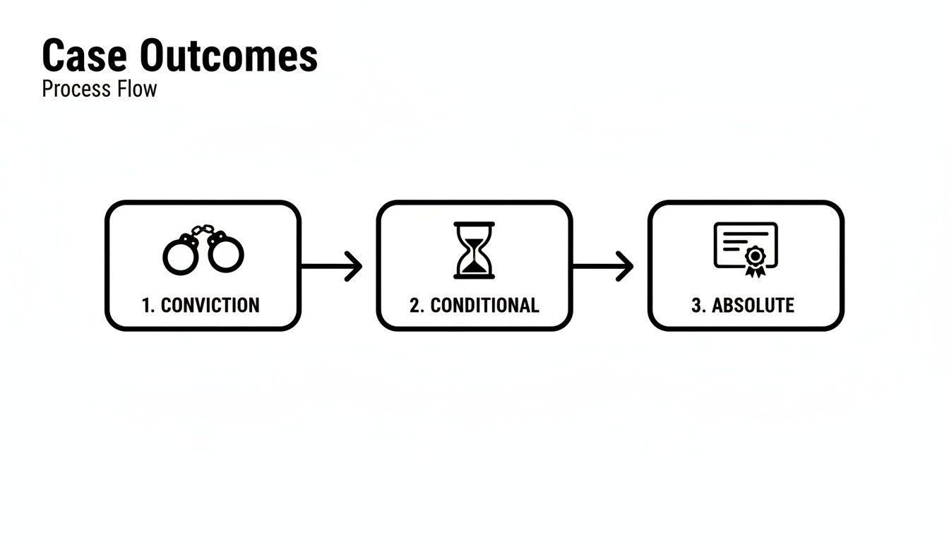 A process flow diagram shows three steps for case outcomes: Conviction, Conditional, and Absolute.