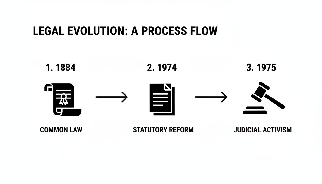 A flow chart illustrating legal evolution from common law to statutory reform and judicial activism.