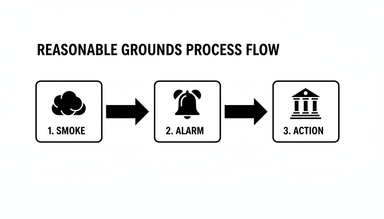 A diagram illustrating the 'Reasonable Grounds Process Flow' with three steps: Smoke, Alarm, and Action, depicted with icons.