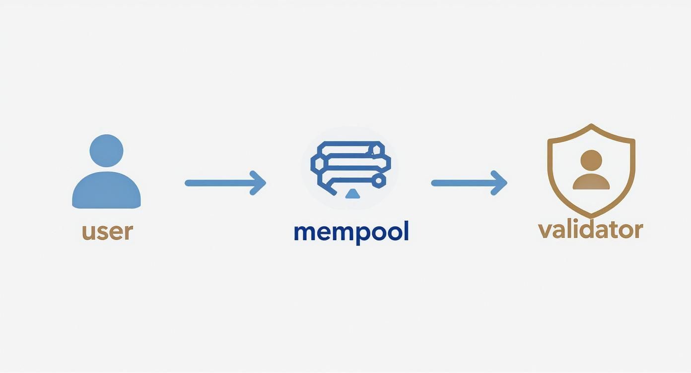 Infographic about what is mev