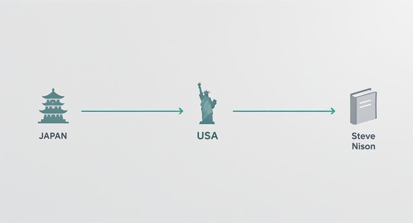 Infographic about what is a candlestick chart