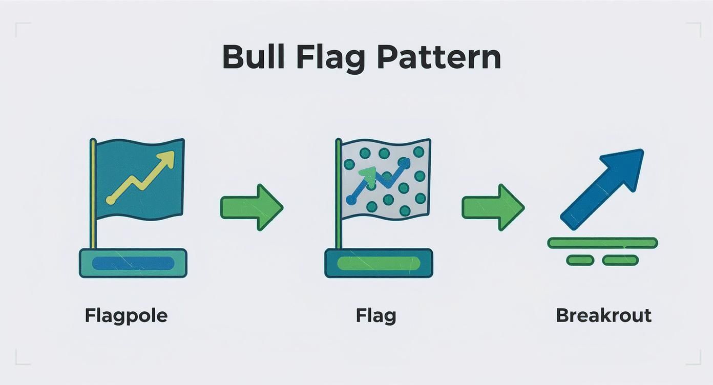Infographic about what is a bull flag