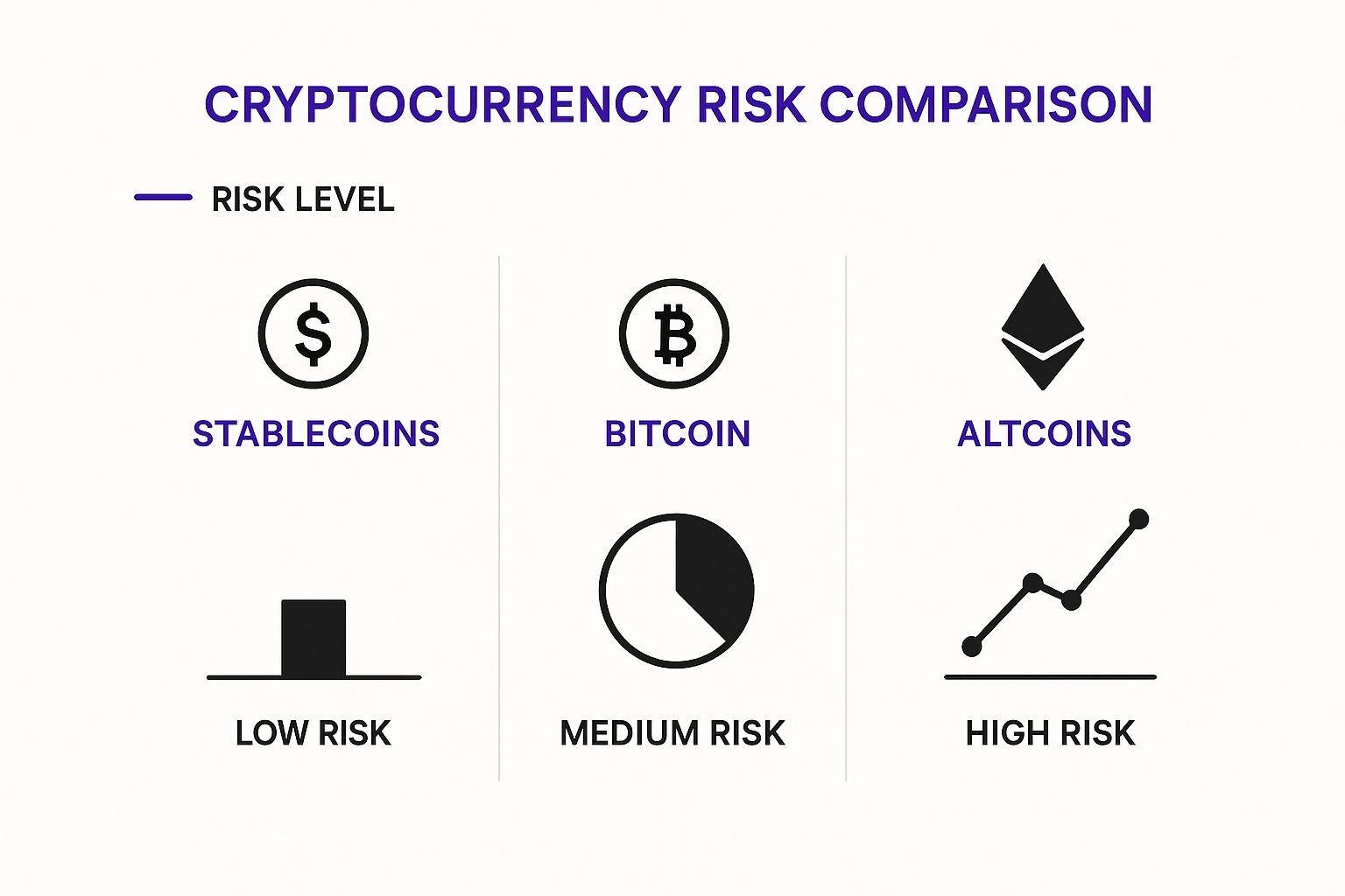 Infographic about crypto portfolio allocation