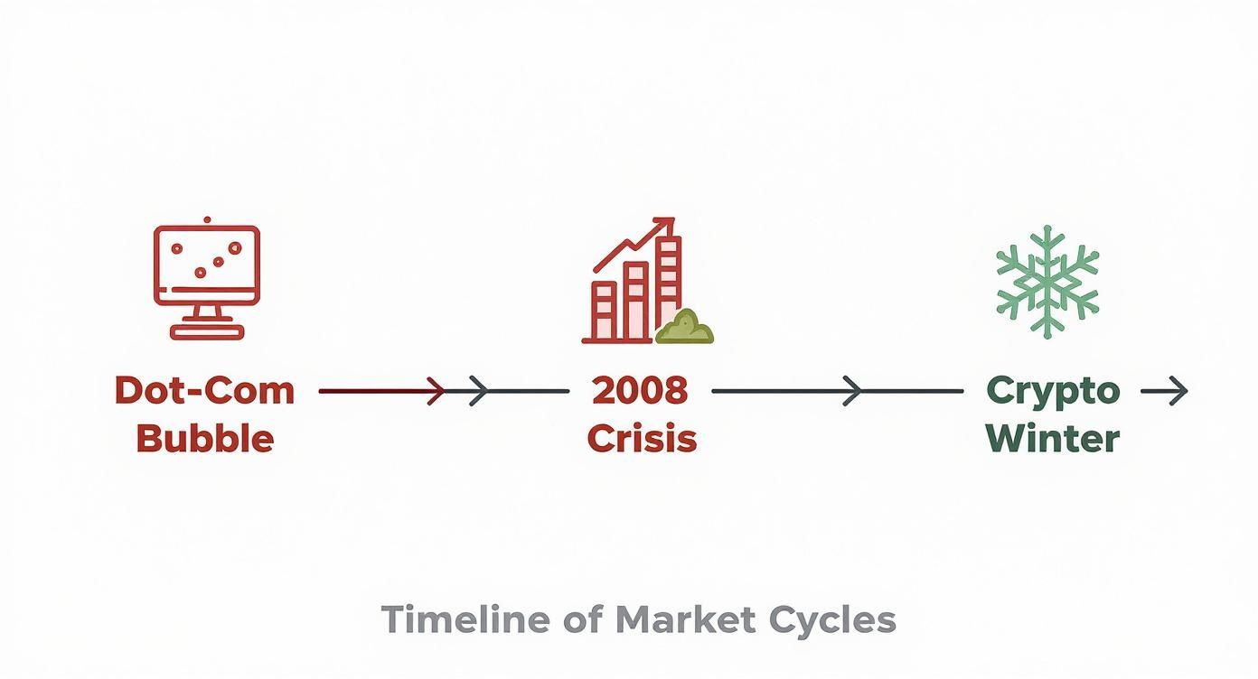 Timeline illustrating the Dot-Com Bubble, 2008 Crisis, and Crypto Winter as market cycles.