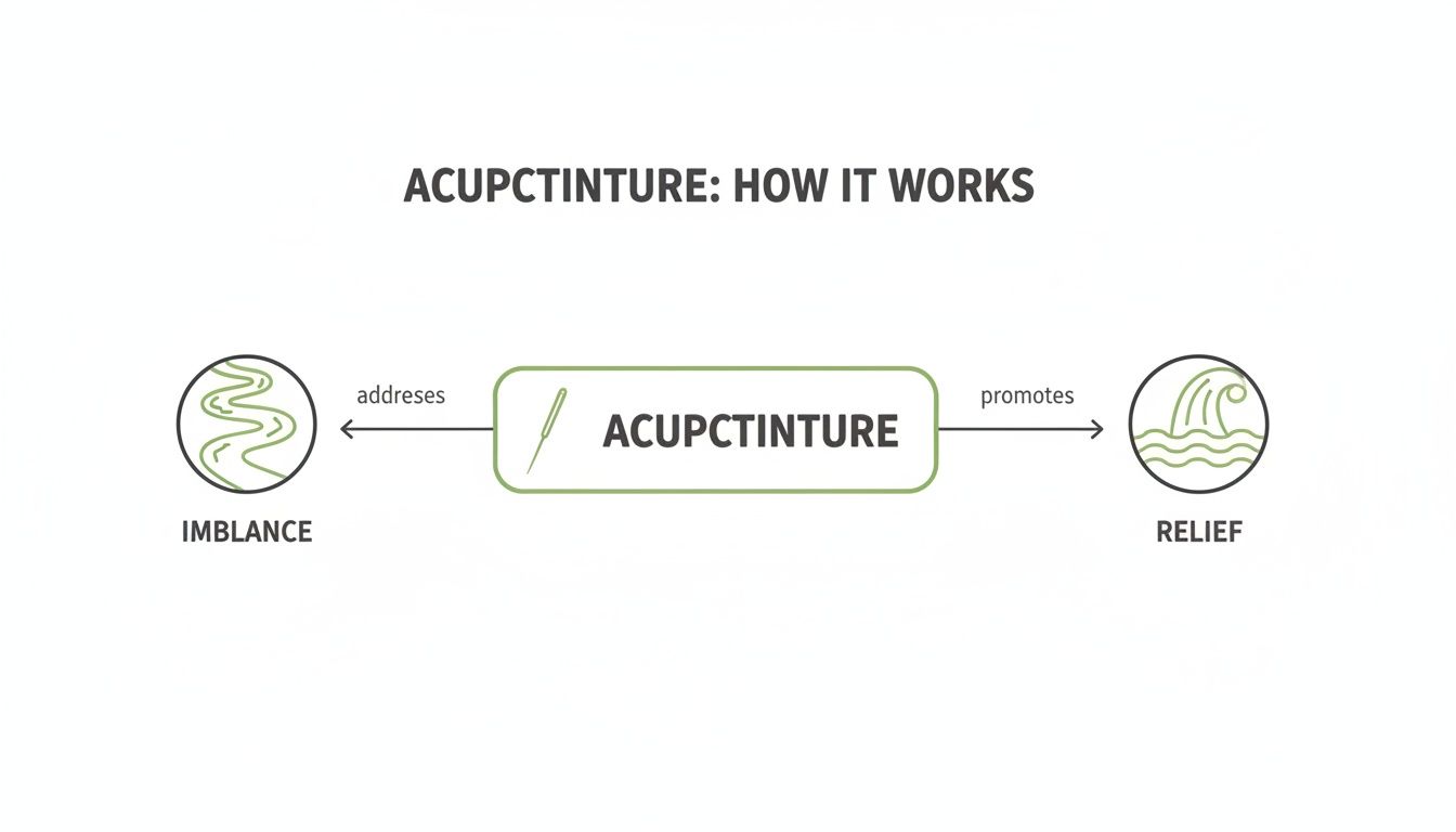 A diagram explaining how acupcinture works, showing it addresses imbalance and promotes relief.