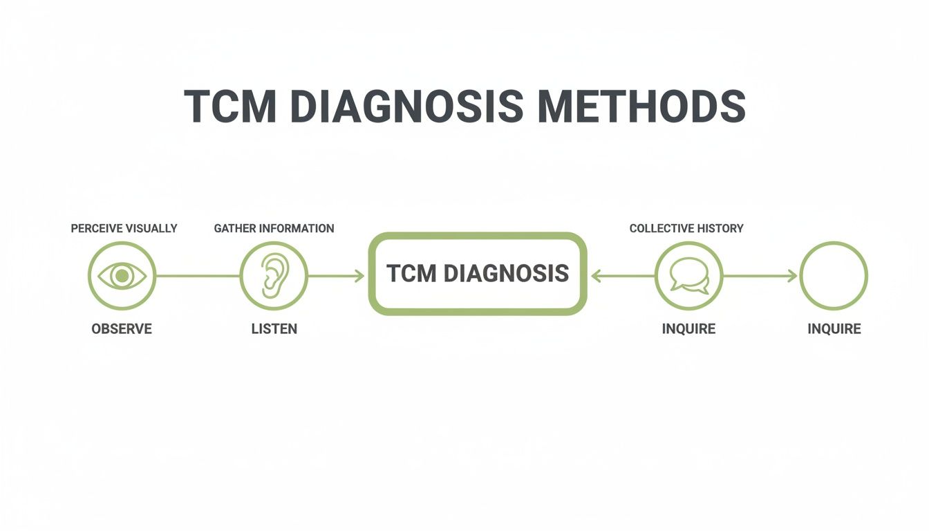 Flowchart illustrating Traditional Chinese Medicine (TCM) diagnosis methods, including observing, listening, and inquiring.