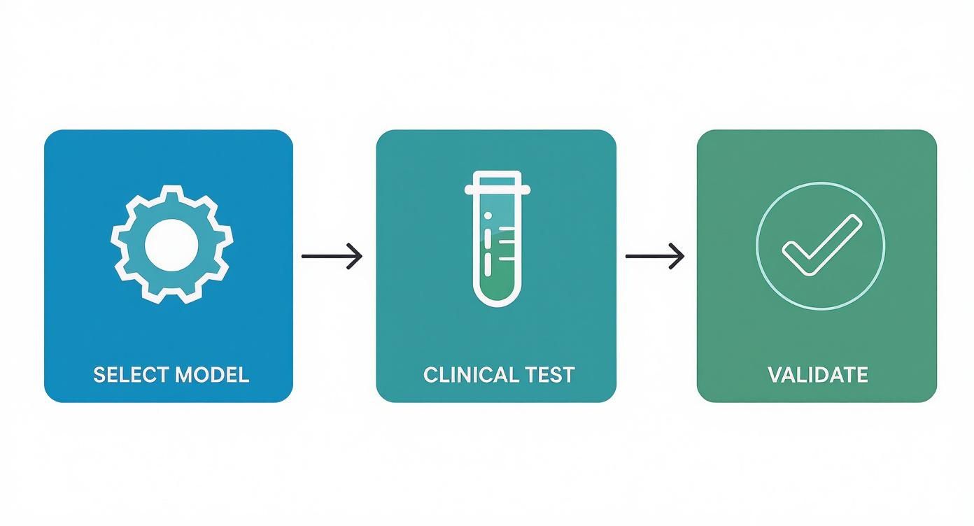 Visual diagram illustrating the workflow for building and validating AI healthcare solutions.