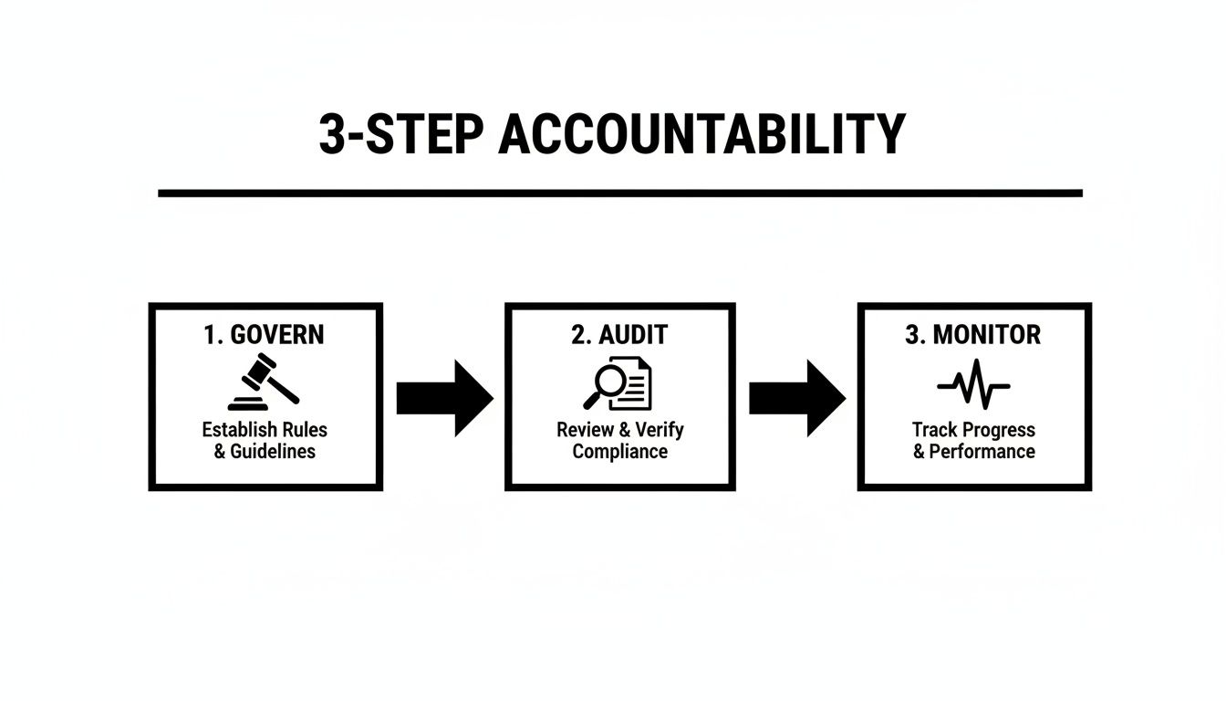 A three-step accountability process flowchart: Govern, Audit, and Monitor, with icons for each step.