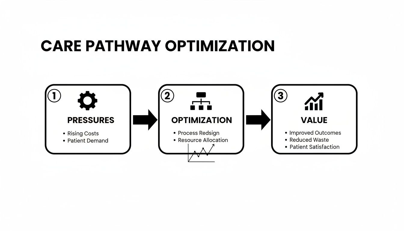 Flowchart showing care pathway optimization, addressing pressures, leading to optimization, and delivering value.