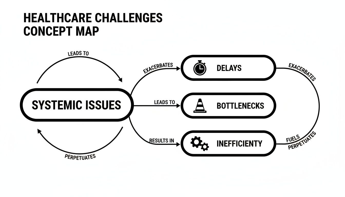 A concept map illustrating healthcare challenges where systemic issues lead to delays, bottlenecks, and inefficiency, which in turn perpetuate these issues.