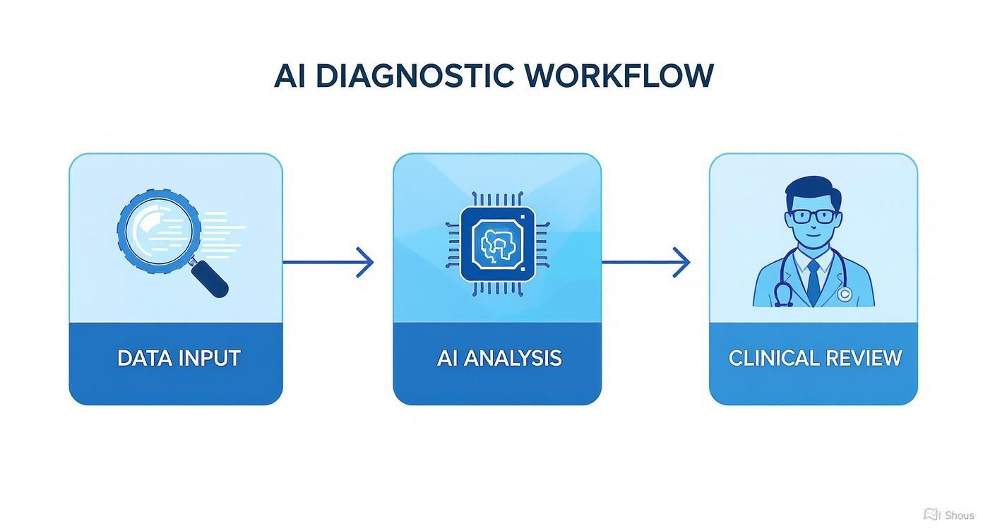 Three-step AI diagnostic workflow showing data input, artificial intelligence analysis, and clinical review process