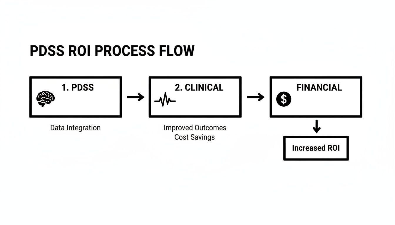 A diagram illustrates the PDSS ROI process flow from data integration to increased return on investment.