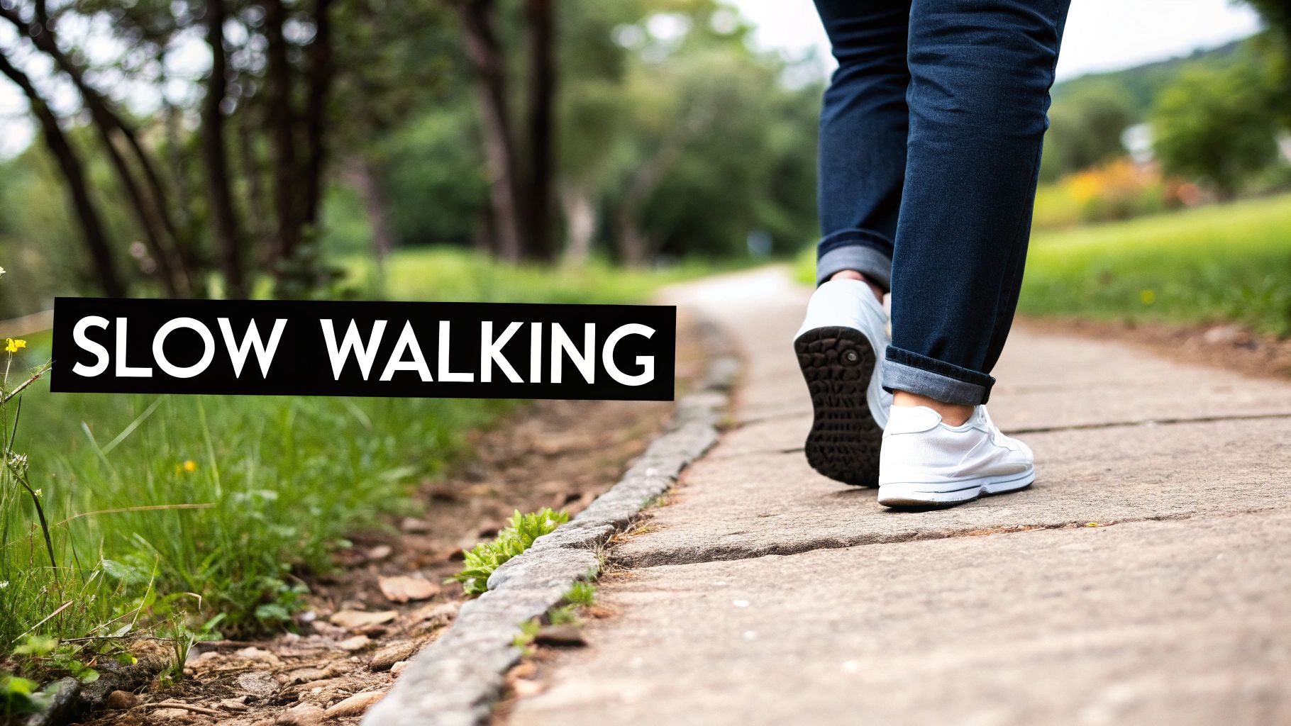 Loving-Kindness Meditation (Metta)