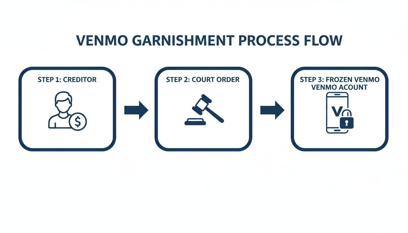 A flowchart depicts the three steps of the Venmo garnishment process: creditor, court order, and frozen account.