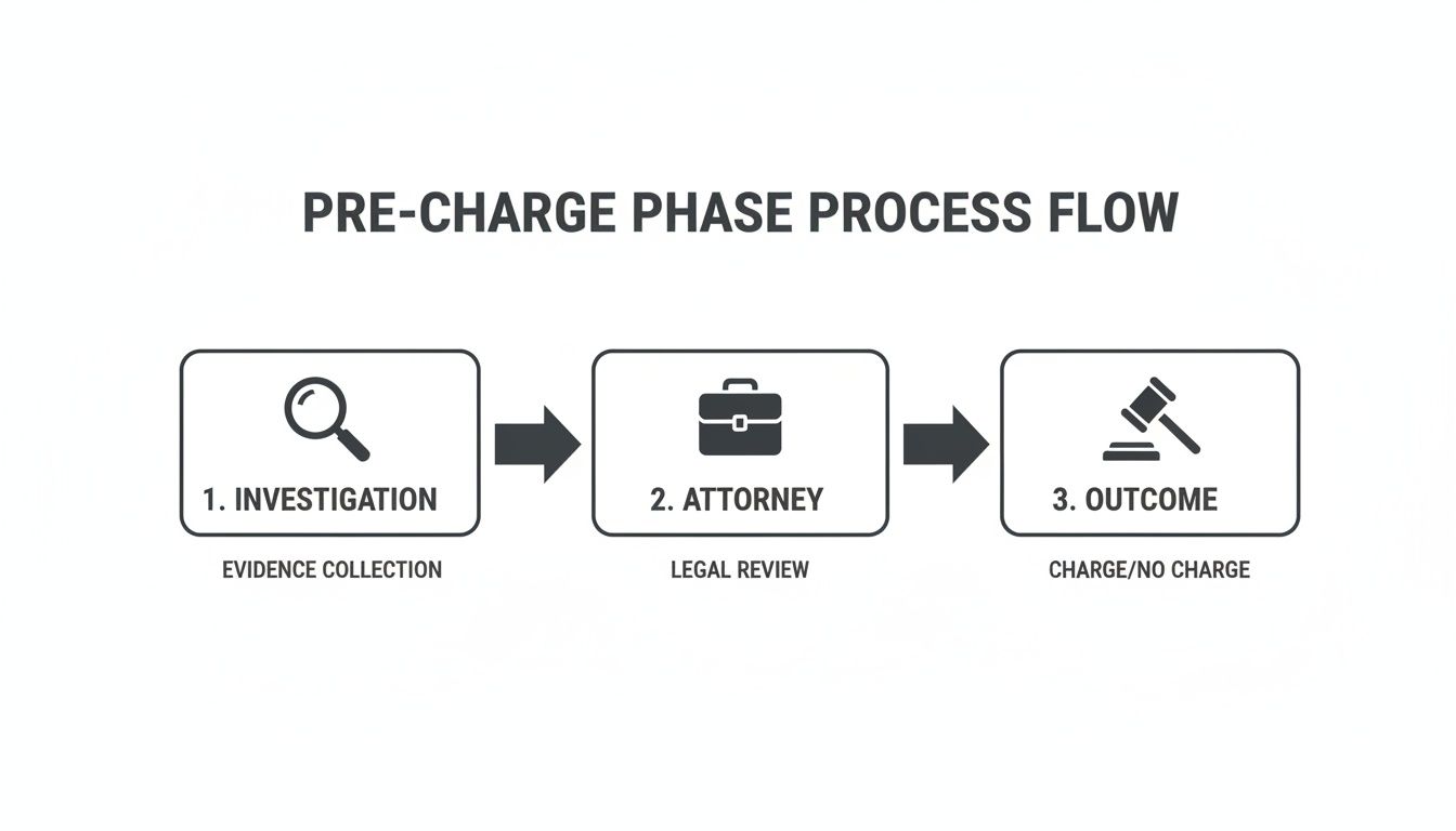 A flowchart illustrates the pre-charge phase process: investigation, attorney review, and outcome.