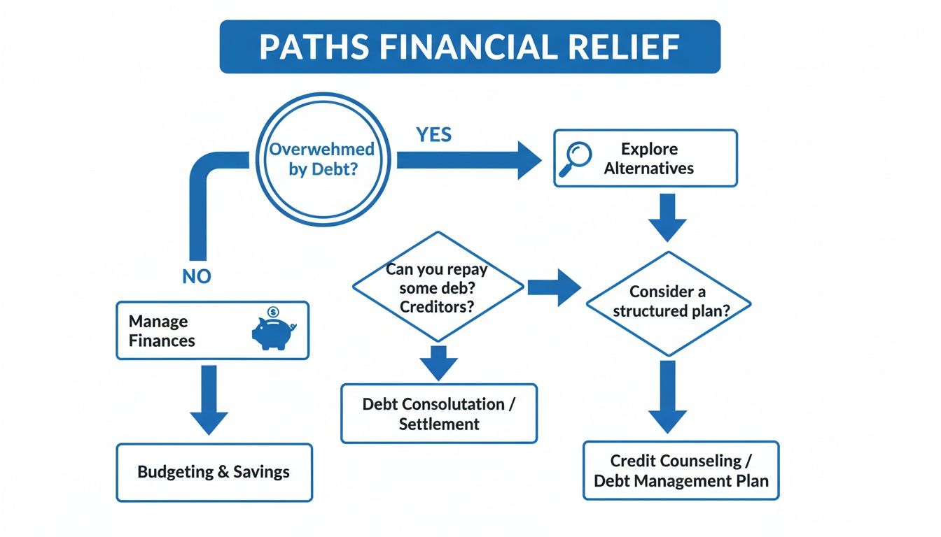 A financial relief flowchart illustrating steps for debt management, from budgeting to credit counseling.