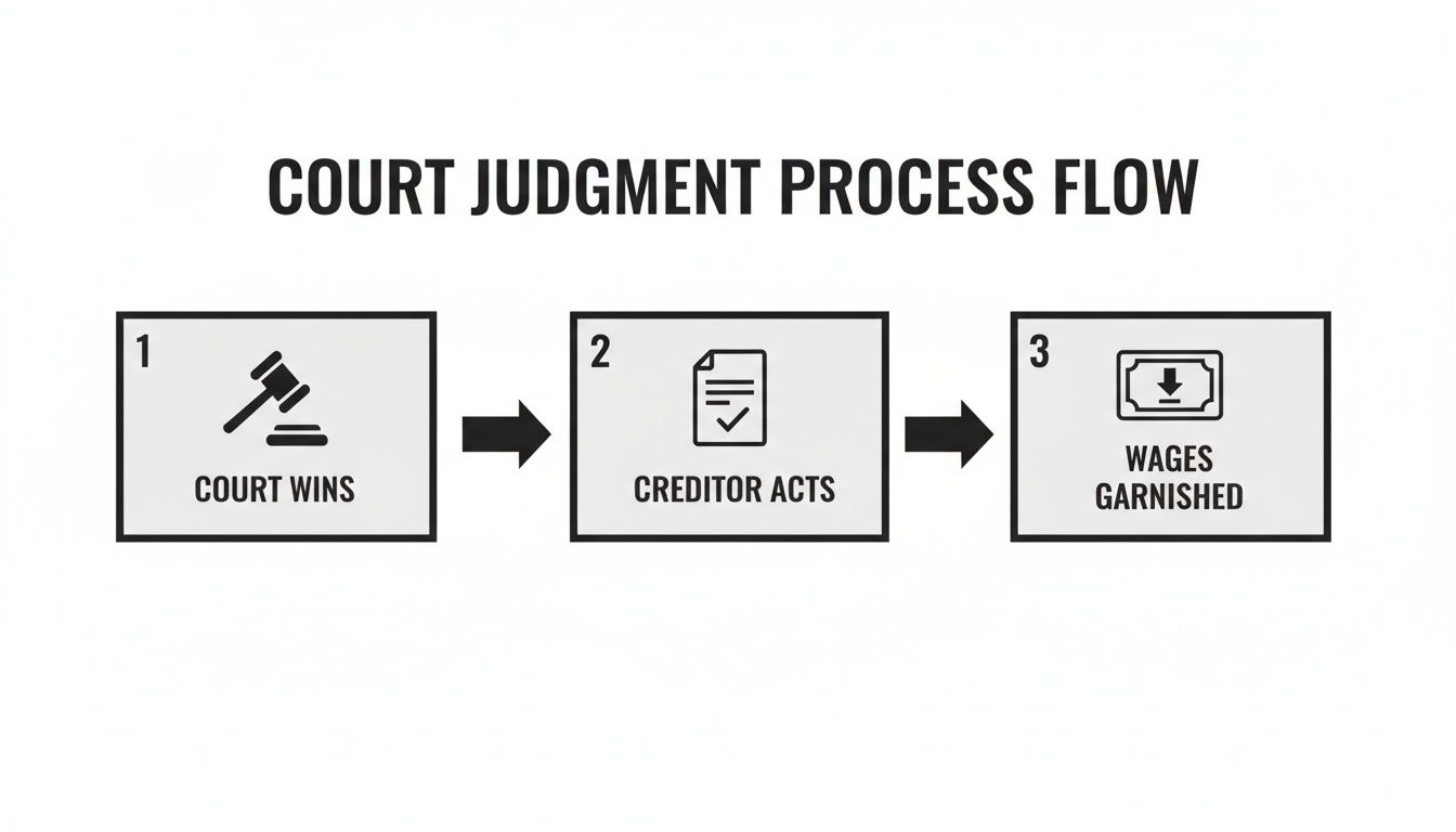 Flowchart illustrating the court judgment process from court win to wage garnishment.