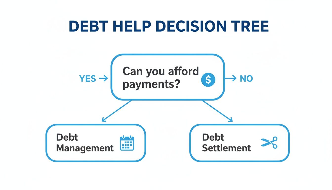 A debt help decision tree flowchart. If you can afford payments, it leads to Debt Management. If not, Debt Settlement.