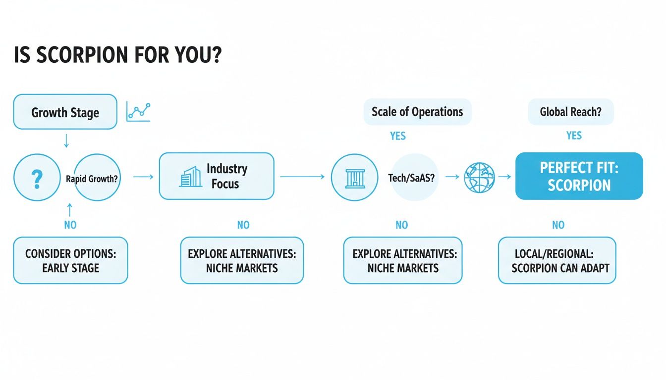 Flowchart helps businesses decide if Scorpion is a perfect fit, based on growth, industry, scale, and global reach.