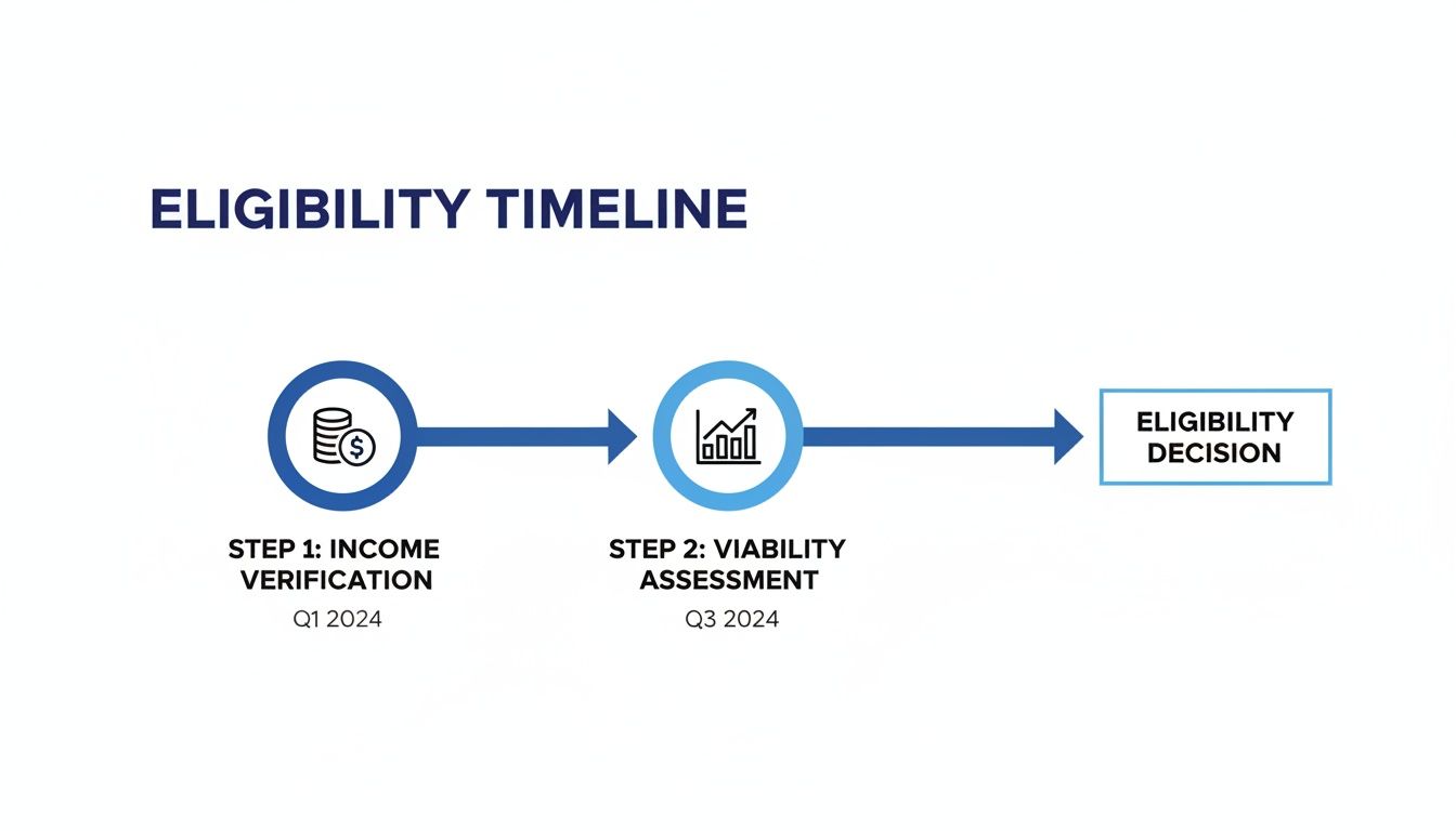 Eligibility timeline infographic showing steps for income verification, viability assessment, and final decision.